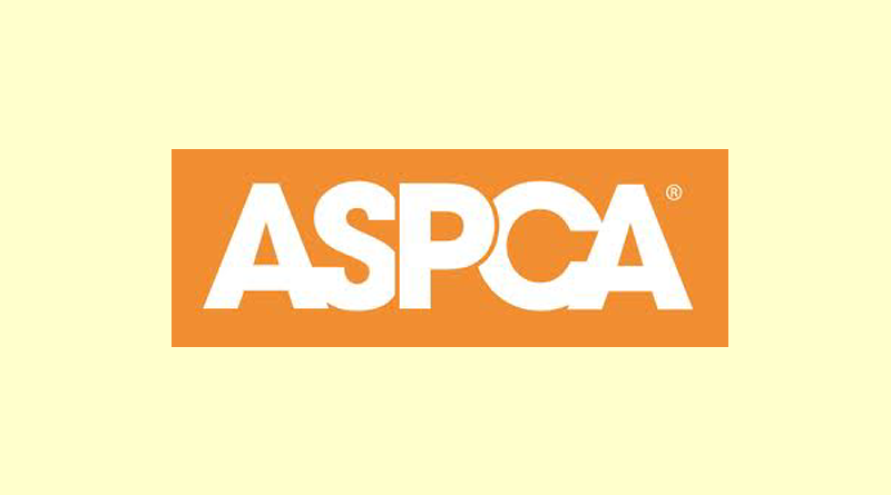ASPCA Awards Dog4U Equine Feed Support Grant